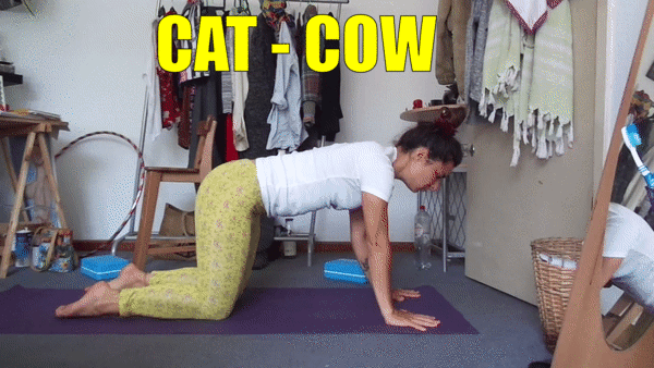 Cat-Cow-Sara-Doguelli-Yoga-Teacher